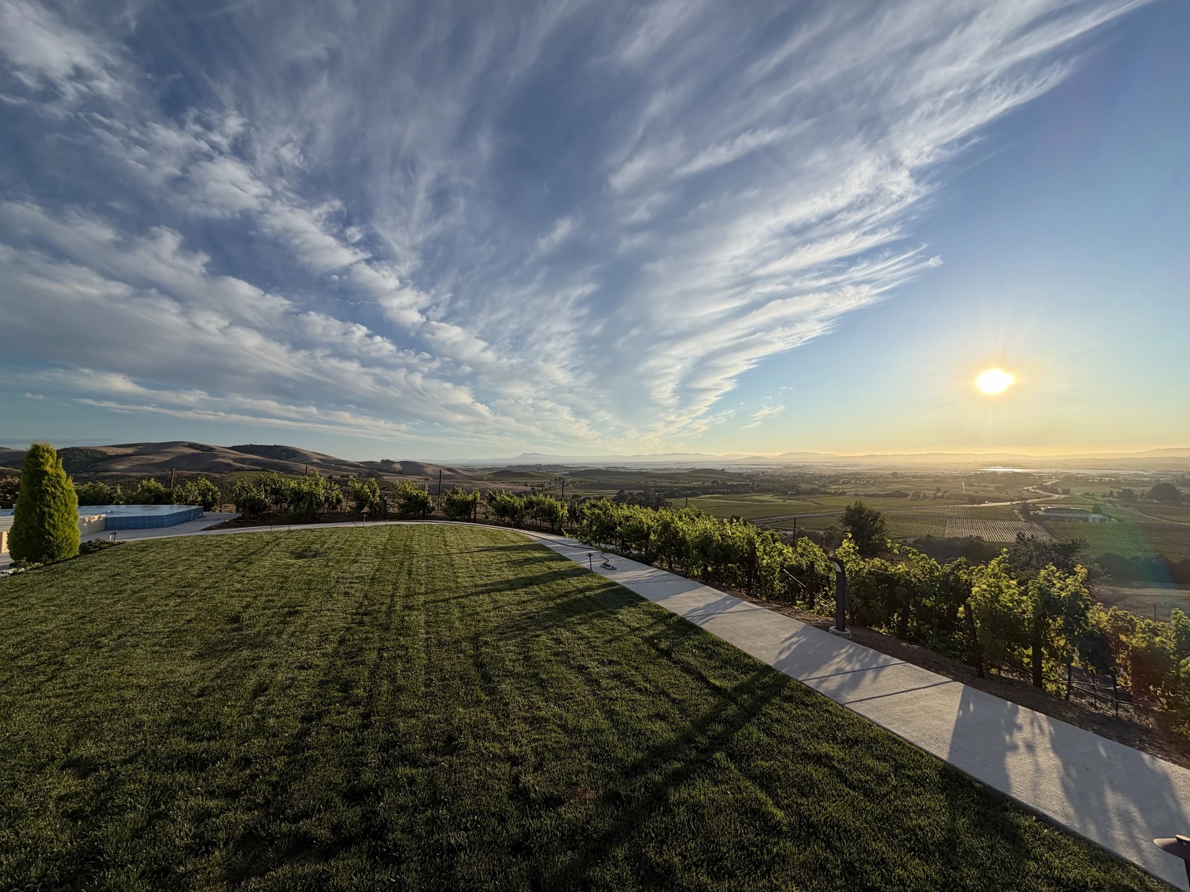 Golden evening light across the vineyard and rolling hills at Senemar